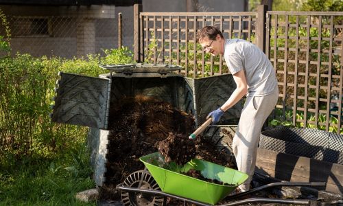 Test kompostov - pogovor z Janezom Sušinom: "Naša zelenjava je večinoma preveč gnojena!"